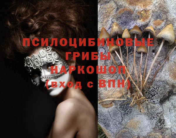 амф Белокуриха