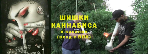 амф Белокуриха